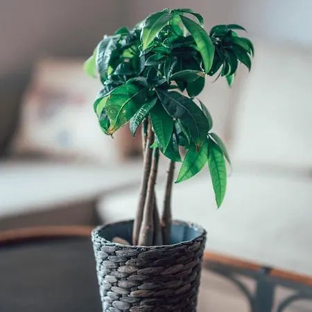 Eptalofos Loft 아파트